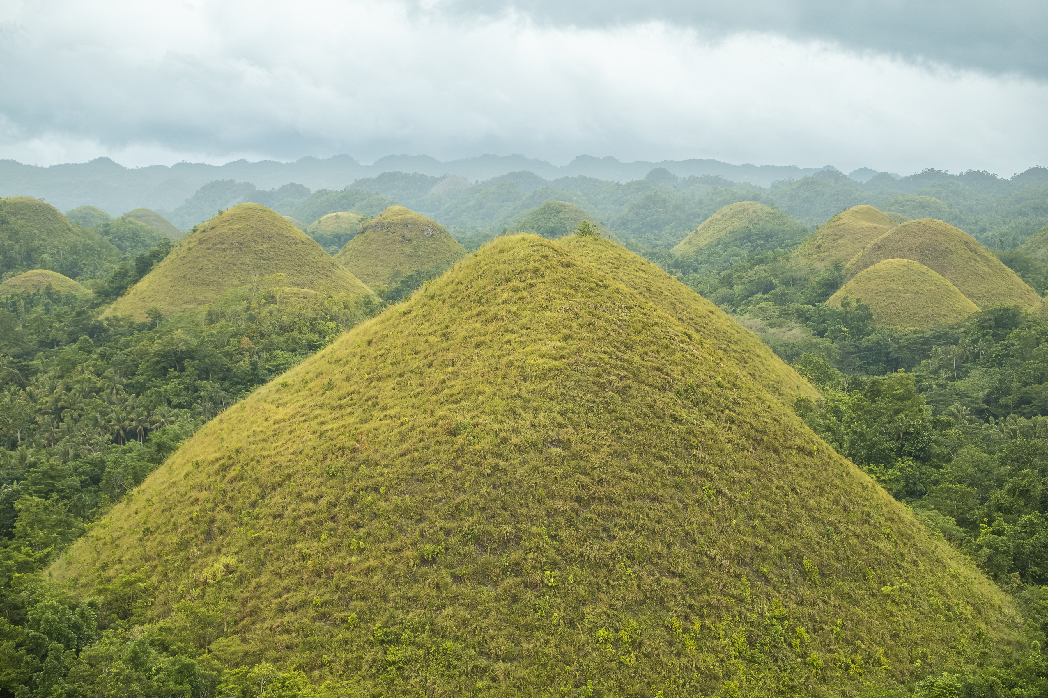 Green and brown limestone mounds across the Chocolate Hills landscape in Bohol